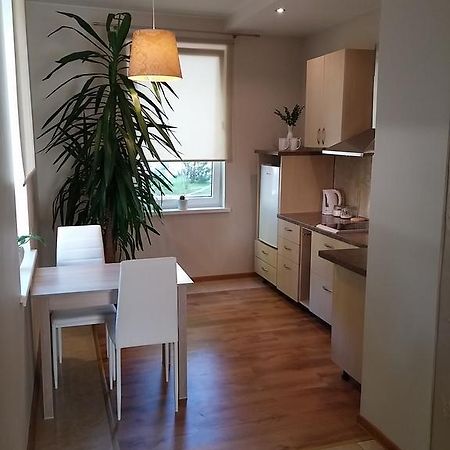 Appartamento Jaukus Butas Siauliu Miesto Centre Šiauliai Esterno foto