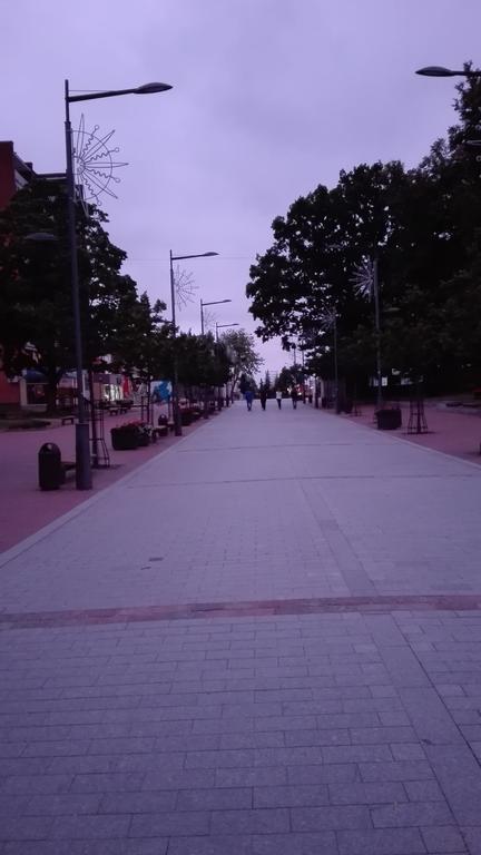 Appartamento Jaukus Butas Siauliu Miesto Centre Šiauliai Esterno foto