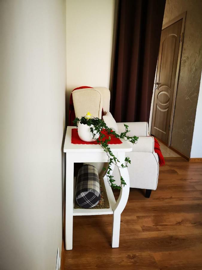 Appartamento Jaukus Butas Siauliu Miesto Centre Šiauliai Esterno foto
